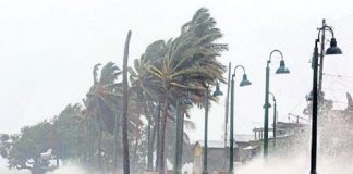 Gaja Cyclone Loss