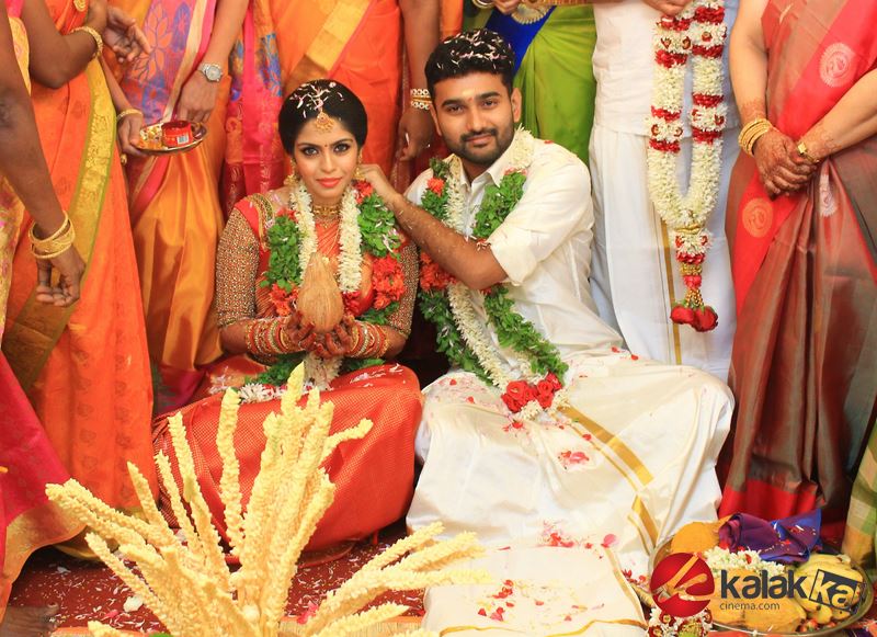 Actor Ramesh Khanna Son Wedding Photos