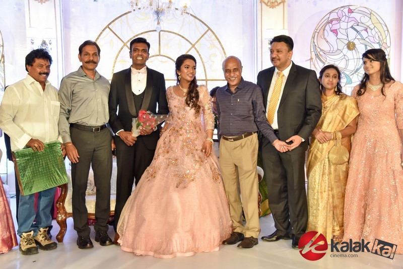 Dr SM Balaji daughter Wedding Reception Photos