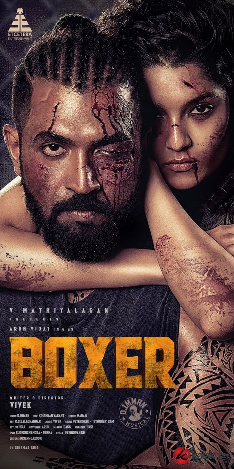 Boxer First Look 