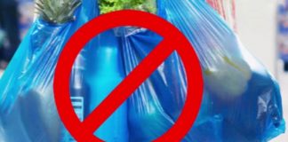 Monitor the use of plastics in election campaigns