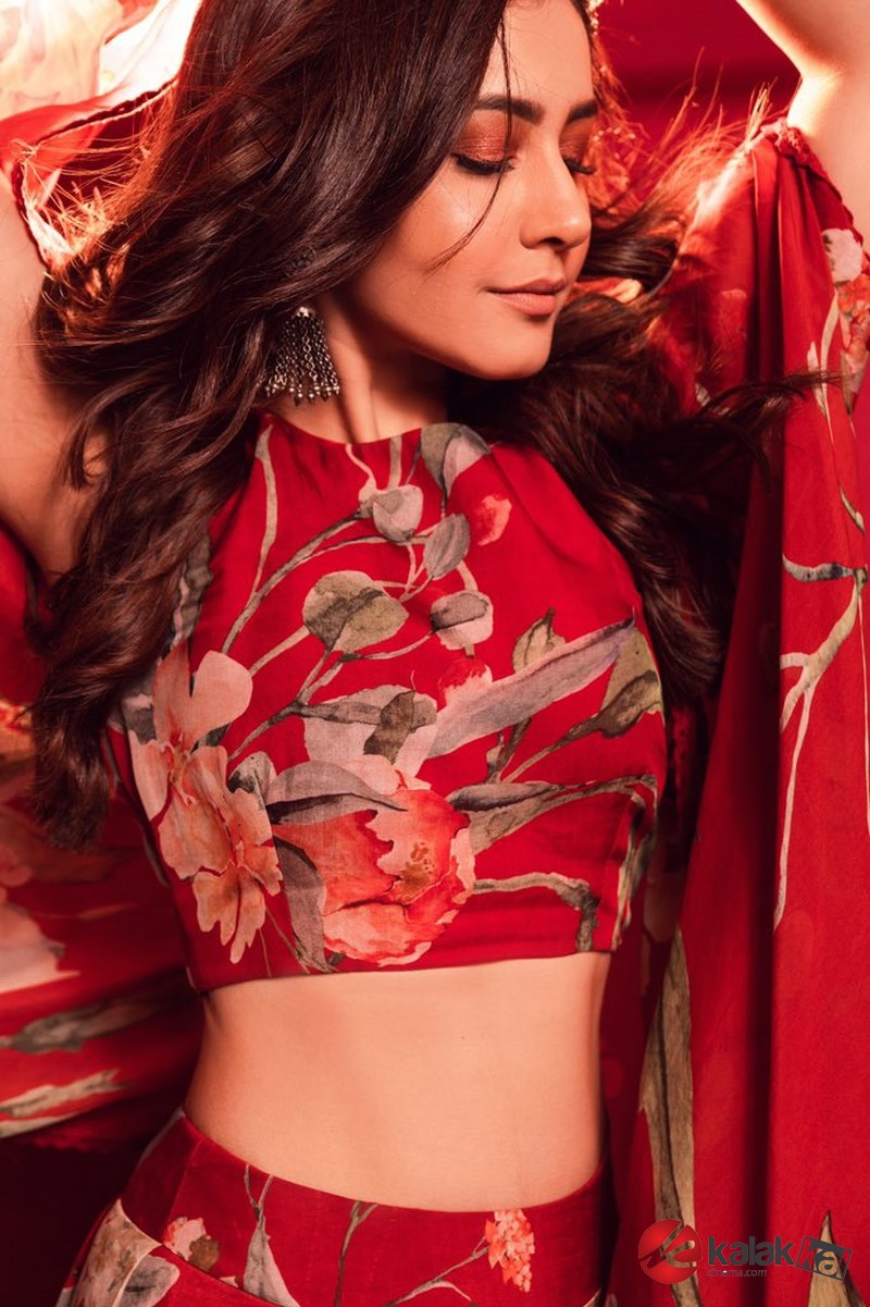 Actress Raashi Khanna Latest Photoshoot