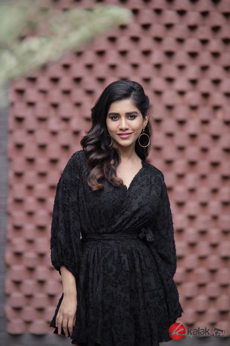 Actress Nabha Natesh Photos