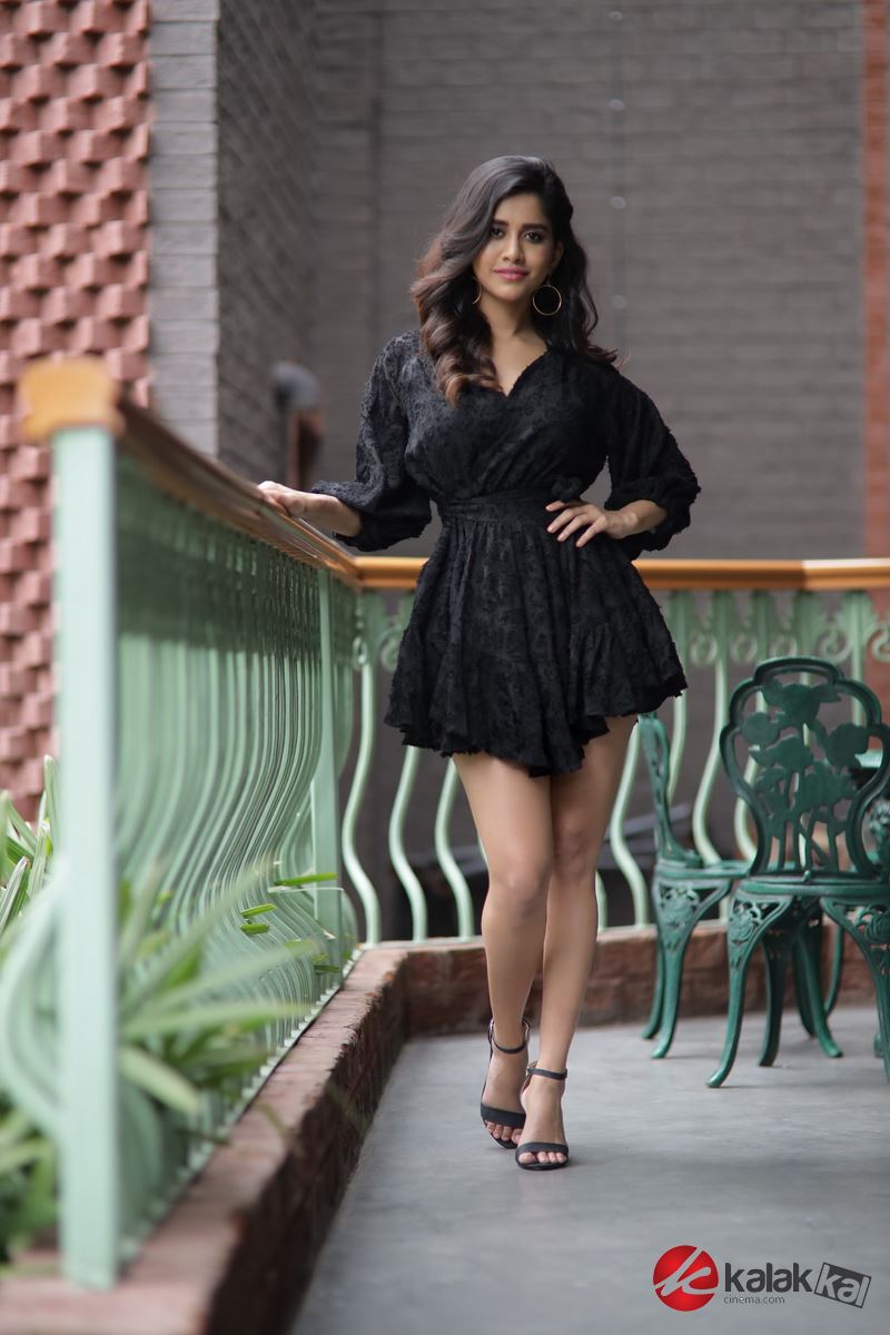 Actress Nabha Natesh Photos