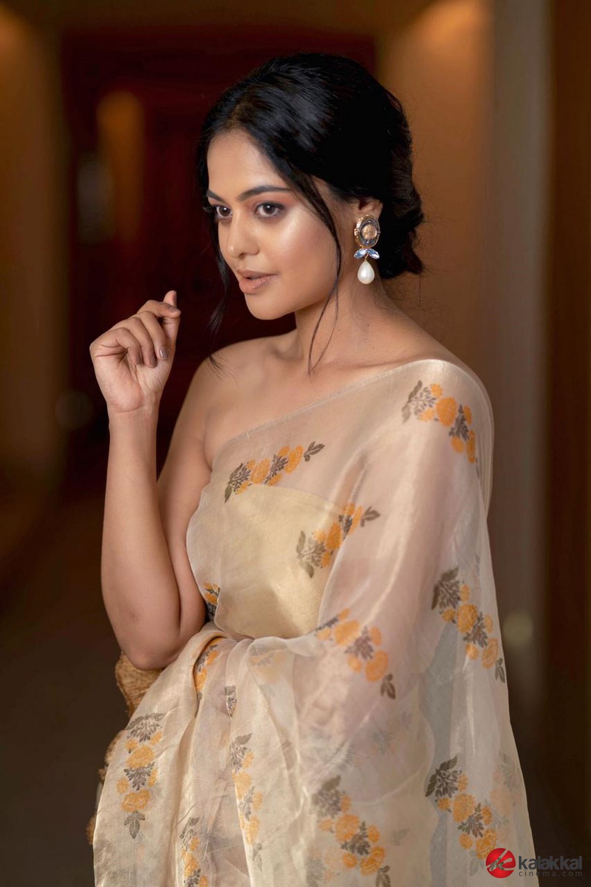 Actress Bindu Madhavi Photos