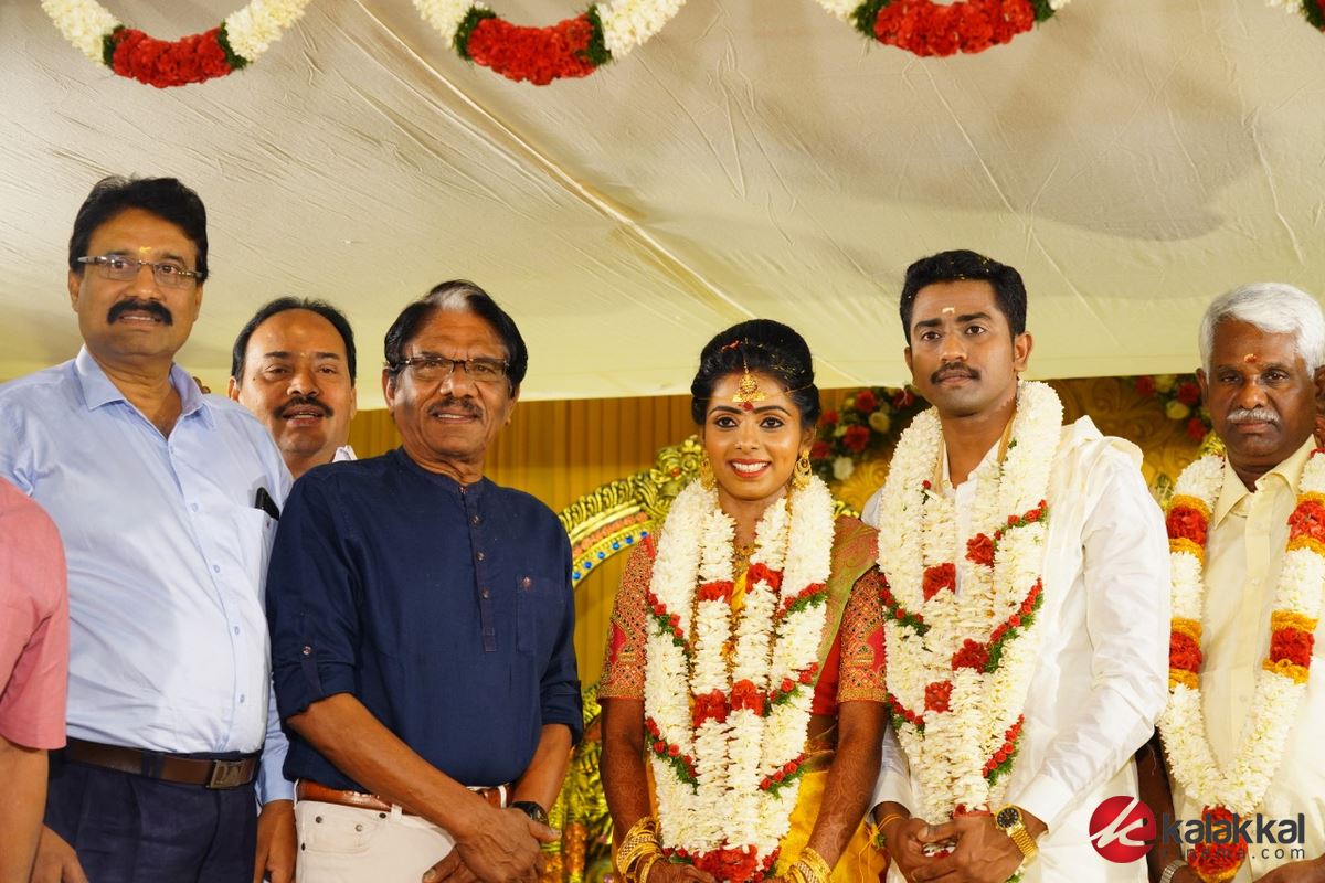 Meendum Oru Mariyathai Actress Nakshatra Wedding Photos