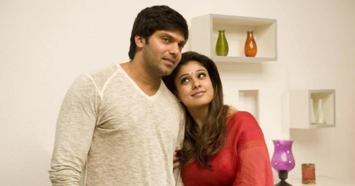 Atlee in Raja Rani Movie Collection Report