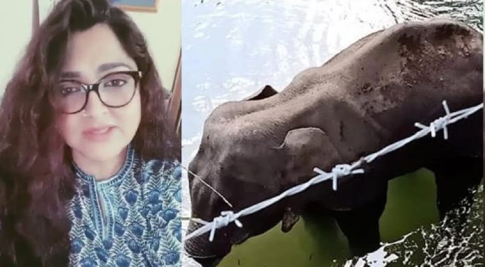 Kushboo about Elephant Murder in Kerala