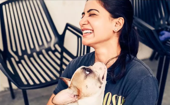 Samantha Play With Dogs