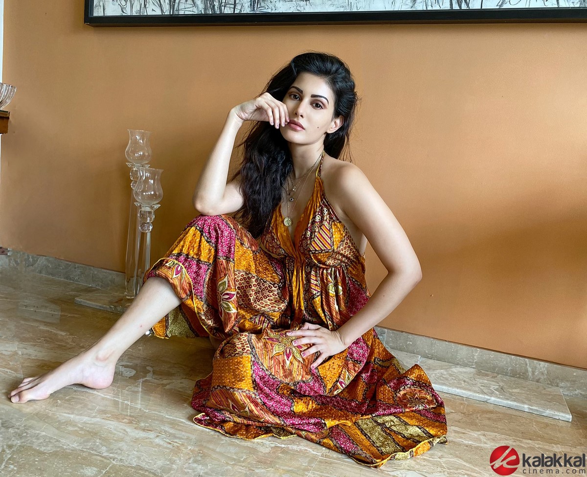 Actress Amyra Dastur Laest Stills