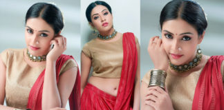 Actress Ashwini Chandrasekhar Photos