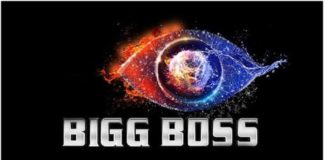 Bigg Boss 4 Contestant in Telugu