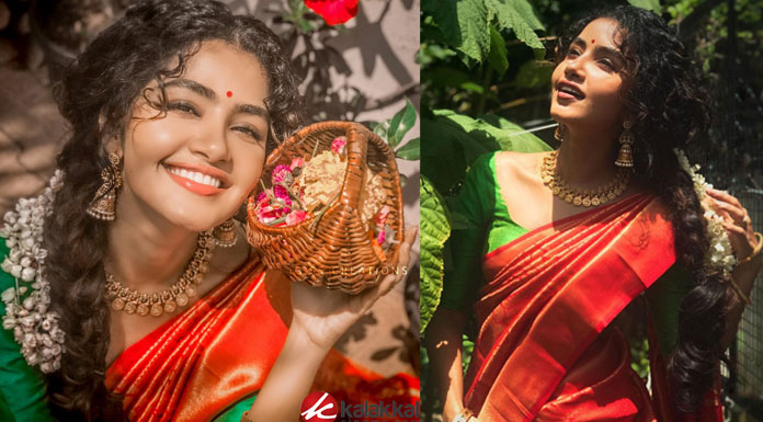 Actress Anupama Parameswaran Latest Photos