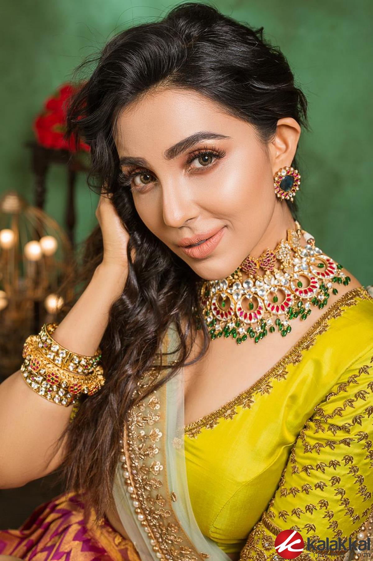 Actress Parvathy Nair Latest Photos