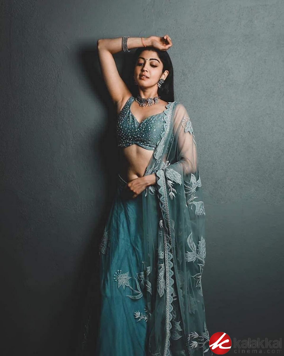 Actress Pranitha Subhash Latest Photos