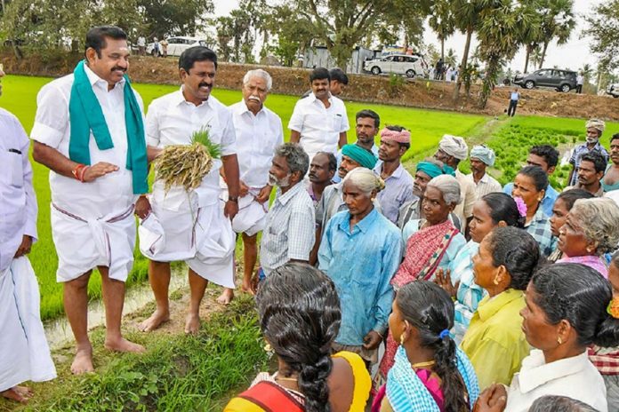 Tamilnadu Records in Agriculture