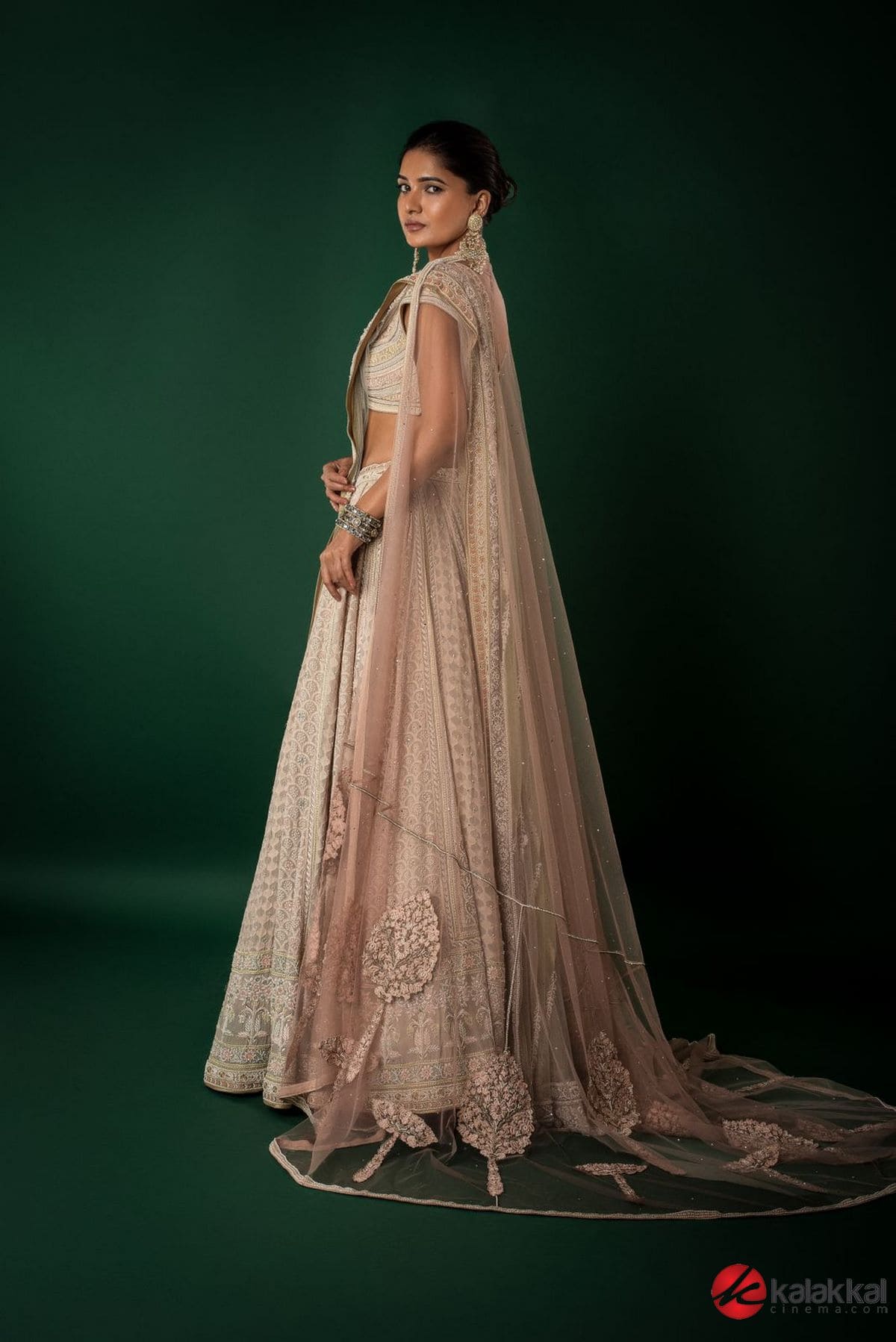 Actress Vani Bhojan New Photos