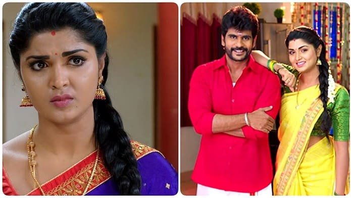 Is the Sun TV serial coming to an end Fans in grief